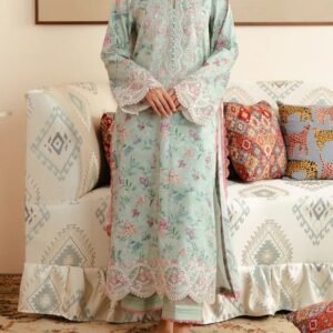 Pakistani Style Printed Suit- Ready to Wear – Women’s Collection